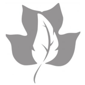 Primland Resort logo