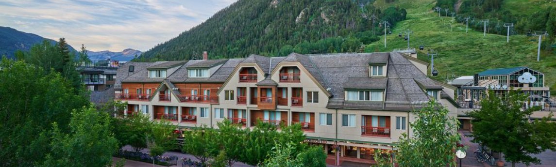 The Little Nell Background image