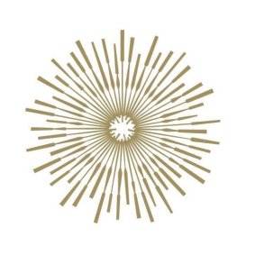 Viceroy Washington DC logo
