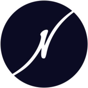 The Little Nell logo