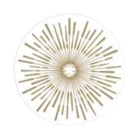 Viceroy Snowmass logo
