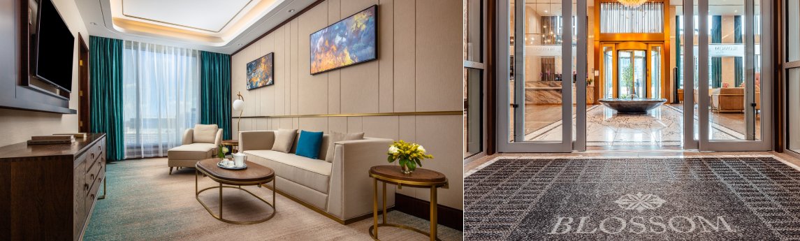 Blossom Hotel Houston Background image